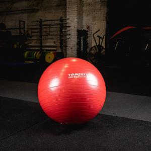 Купить Гимнастический мяч Yousteel Hard 55см в Оренбурге 