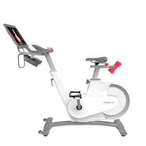 Купить Велотренажер Yesoul BV1-W PLUS в Оренбурге 